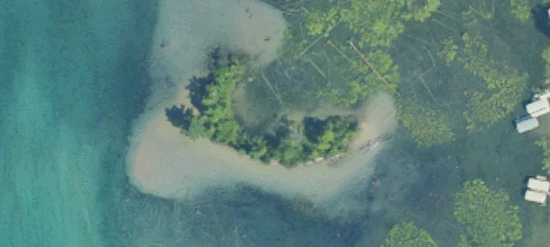 Elk Rapids, MI 49629