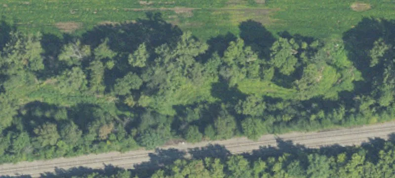 Wheeler Rd