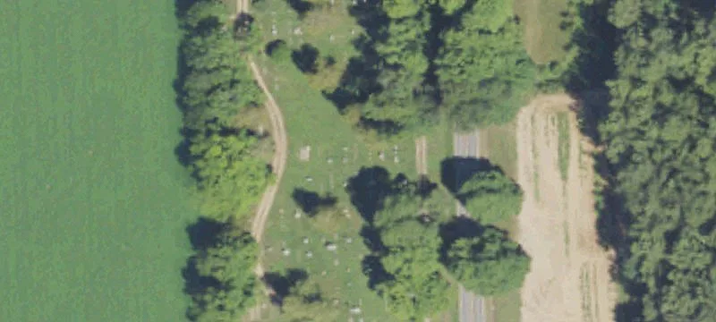 Reed Rd