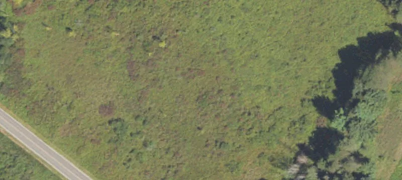 Rives Junction, MI 49277