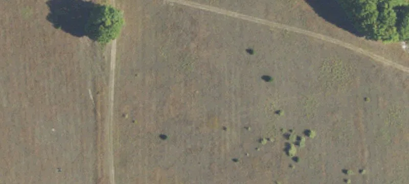 Bellaire, MI 49615
