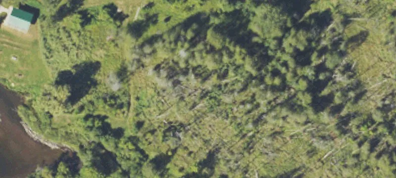 8259 Wolf Crk Rd