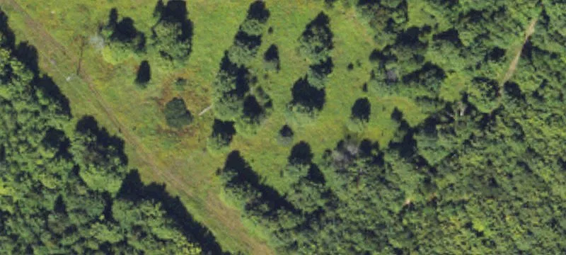 Pickford, MI 49774