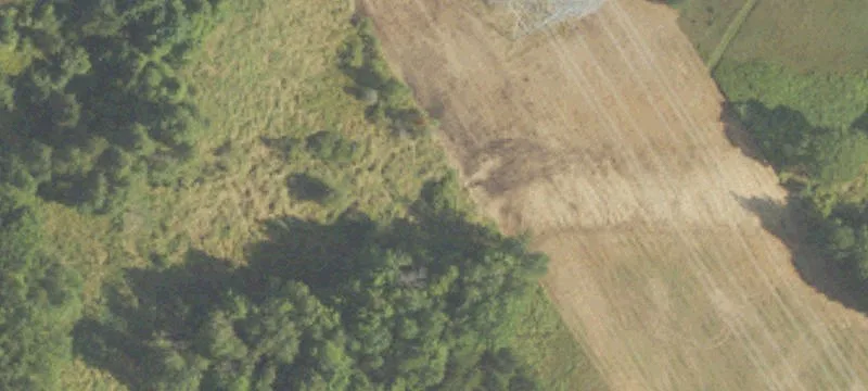 Hesperia, MI 49421