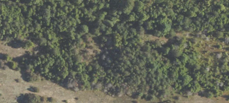 Vanderbilt, MI 49795