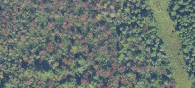 Ontonagon, MI 49953