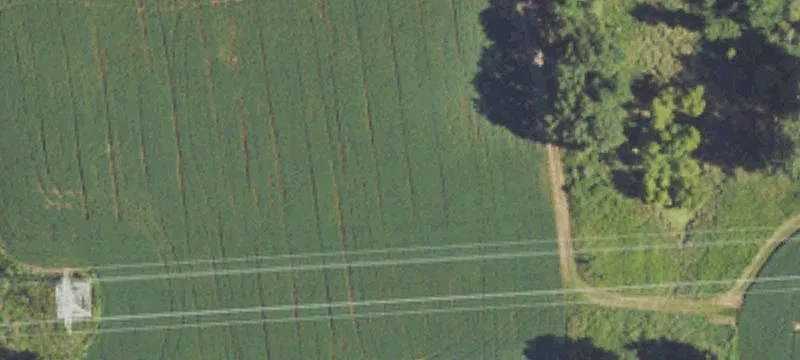 Kimler Rd