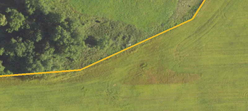Hogan Rd