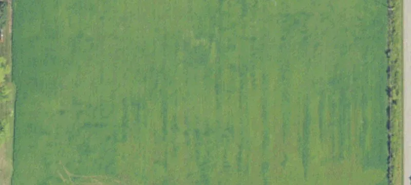 Ee Monroe N Wisner Rd
