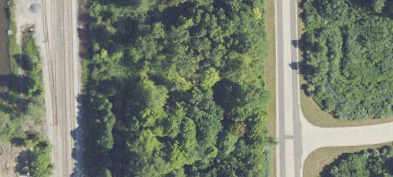 Woodland Dr
