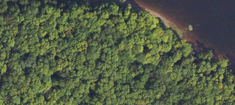 Trout Creek, MI 49967