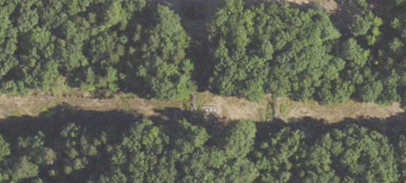 Jackpine Rd