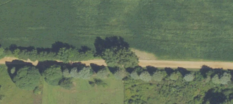 Territorial Rd
