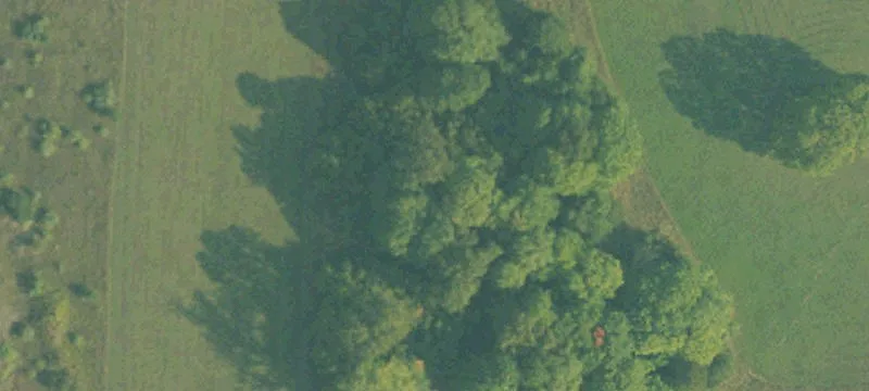 Afton, MI 49705
