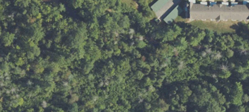 Kalkaska, MI 49646