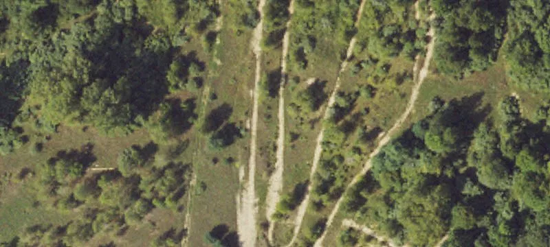 Arendt Rd
