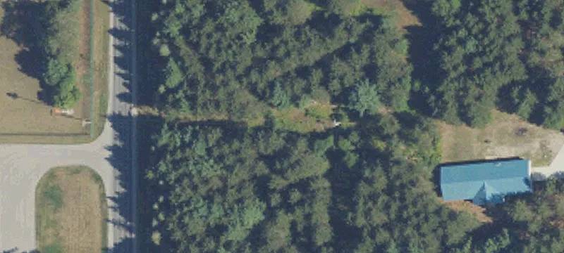 Bellaire, MI 49615