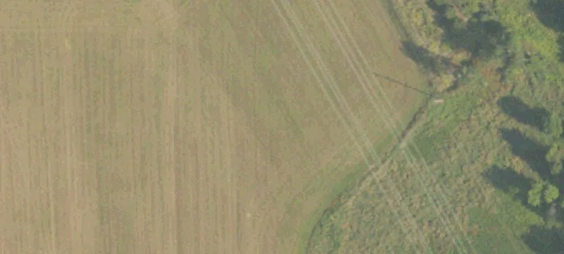 Holton, MI 49425