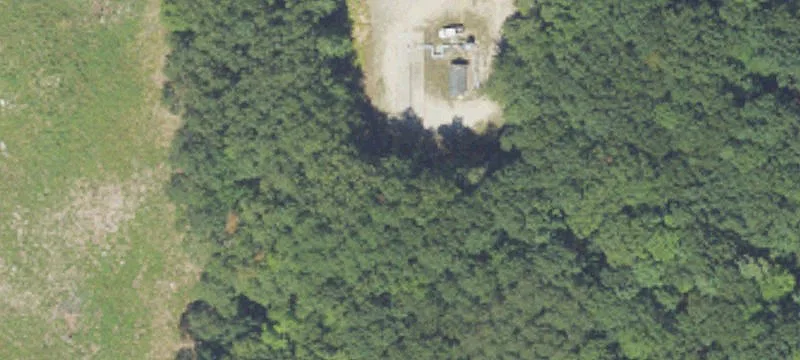 Free Soil, MI 49411