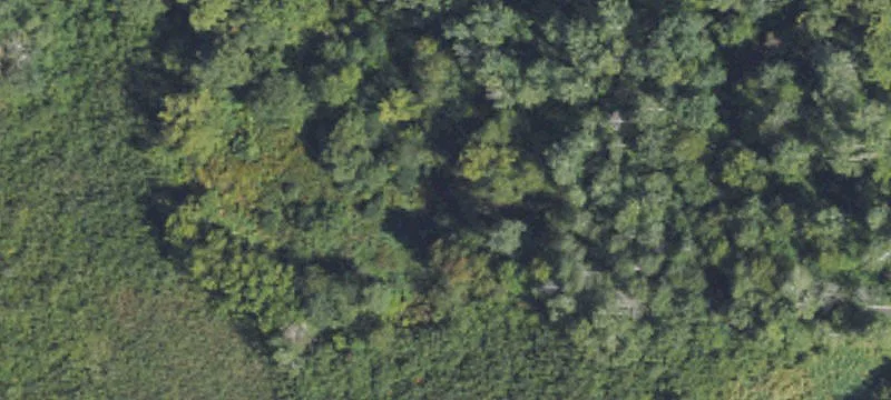 90 Ml Site