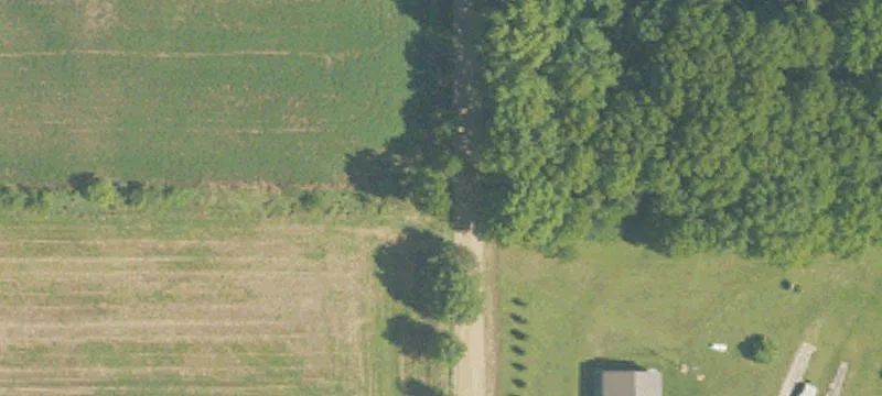 12614 Bell Rd