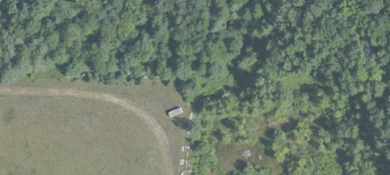 Alanson, MI 49706