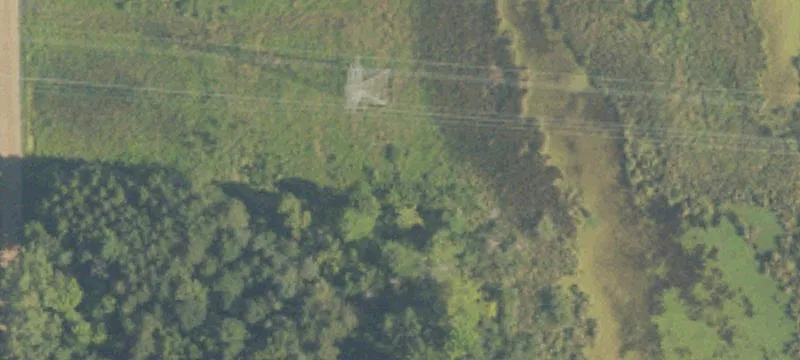 Greenville, MI 48838