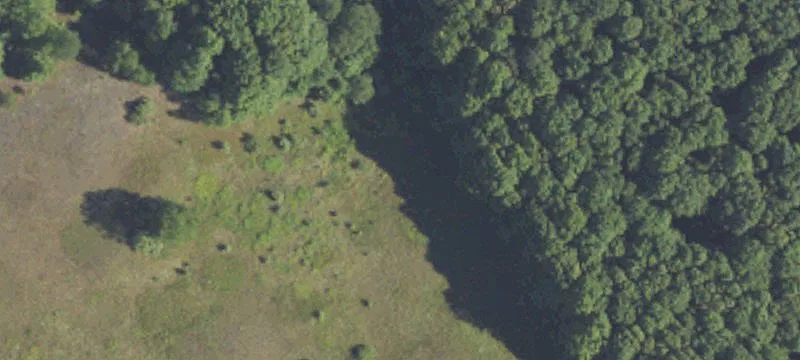 3985 Ricksgers Logging Trl