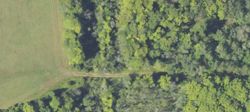 Eben Junction, MI 49825