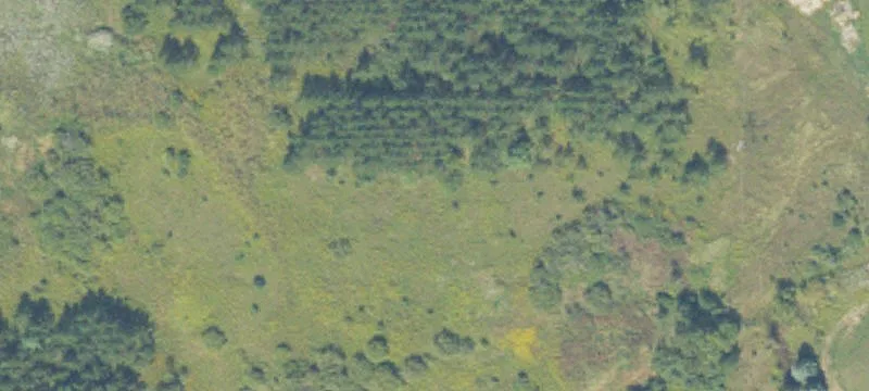 2541 M 65
