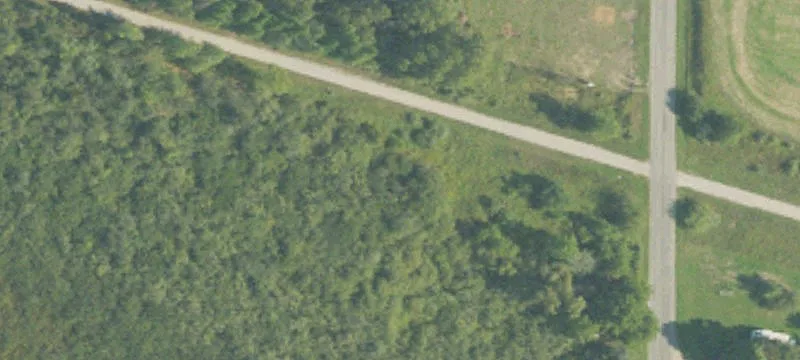 Reed City, MI 49677