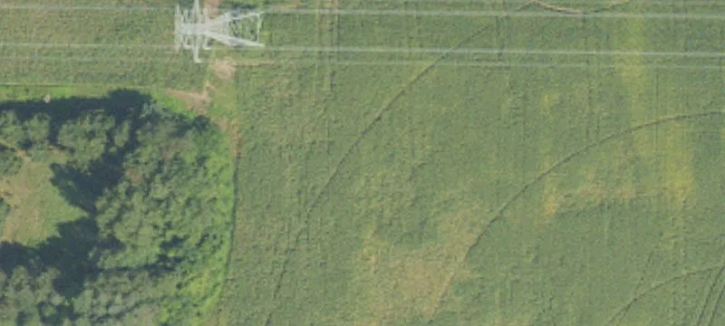 Garfield Rd