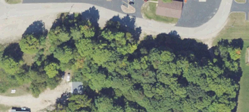 Buckley, MI 49620