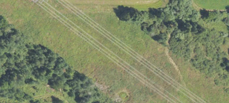 Newaygo, MI 49337