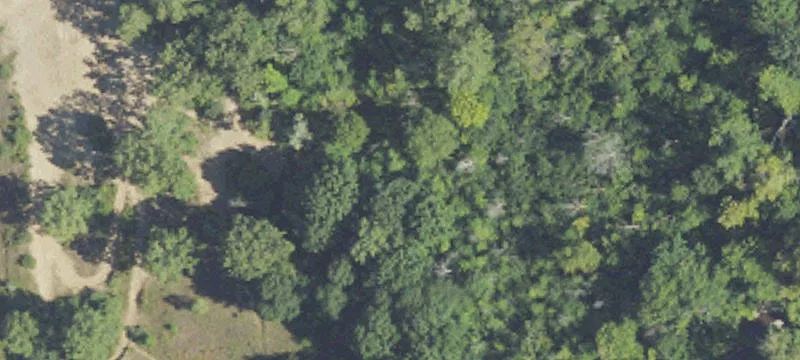 Shannon Rd