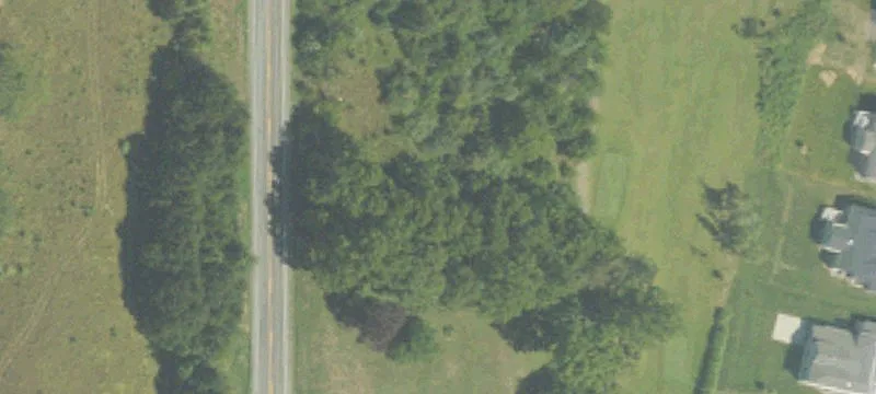 Hagadorn Rd