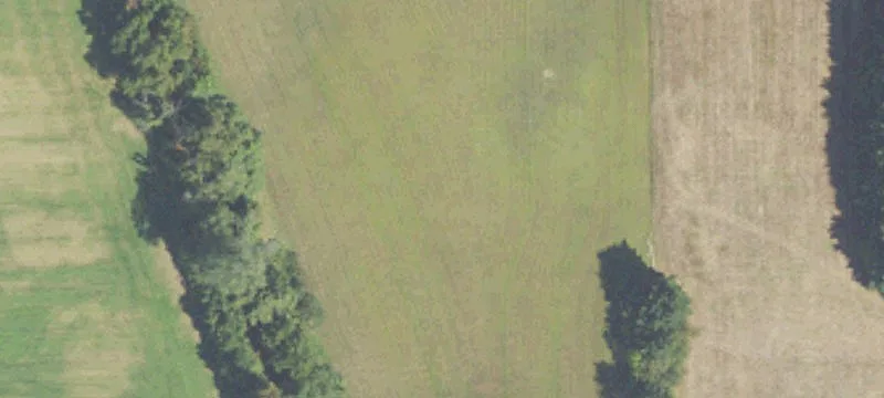 Baroda, MI 49101
