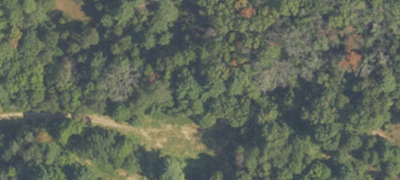White Cloud, MI 49349