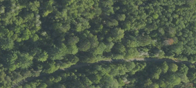 Dnr Pilt Duncan Twp