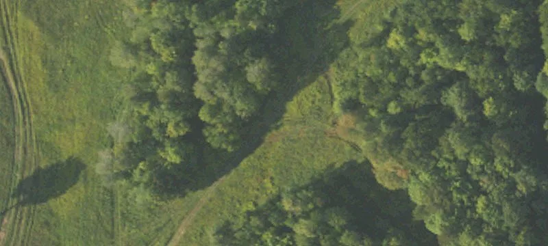 11251 Black Jack Rd