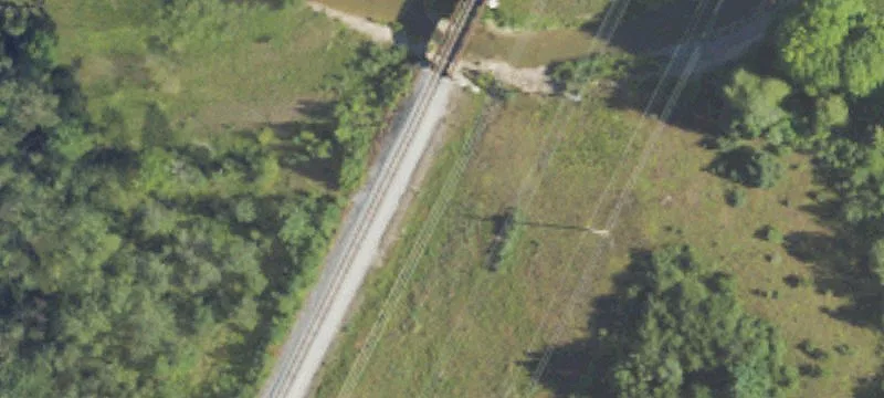 Turtle Rd