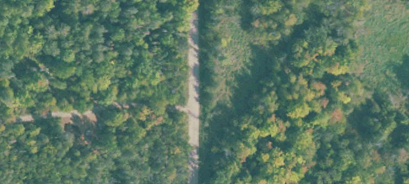 Polfus Rd
