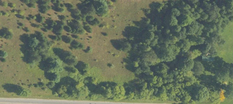 10956 8th Mile Rd