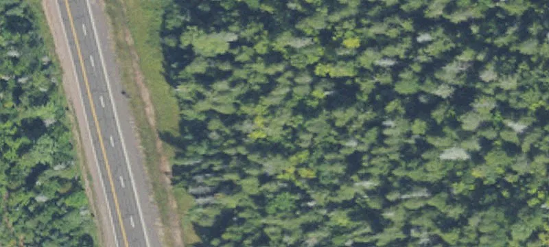 Rockland, MI 49960