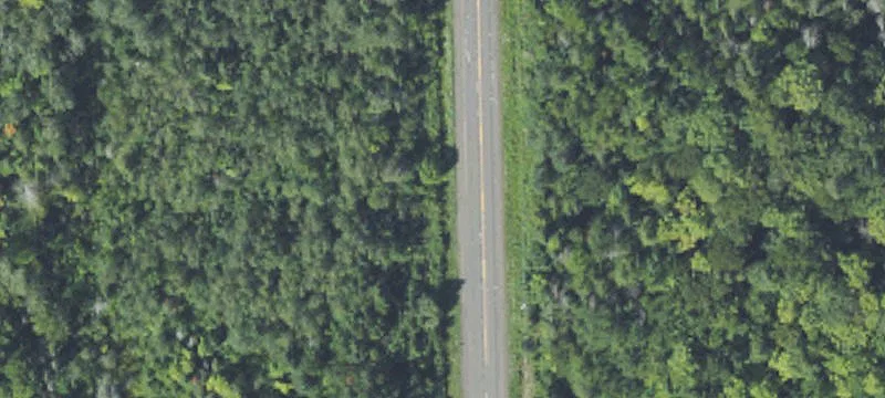 Tapiola Rd
