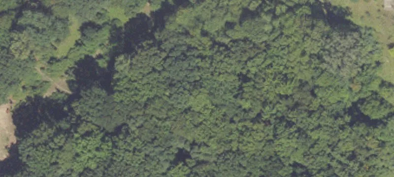 Browntown Rd