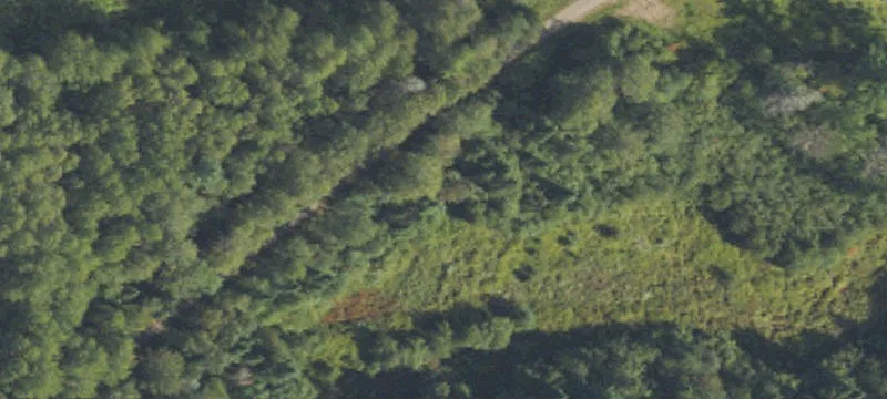 Dnr Pilt Duncan Twp