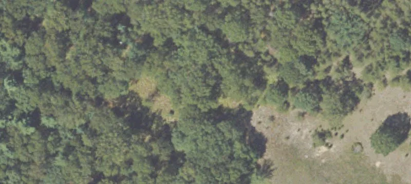 736 Adamczak Rd