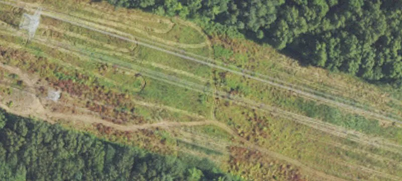 Waltz Rd