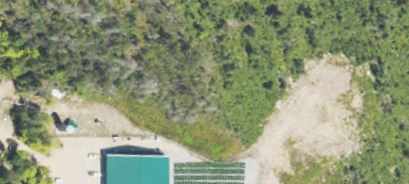 Elizabeth St